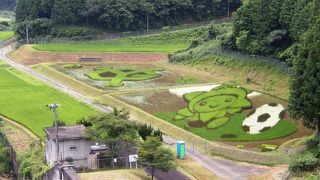 久賀ダム(ジャイアンツ田んぼ)