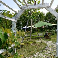 お店のお庭。ここで順番を待ちました〜。