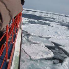 流氷見れました