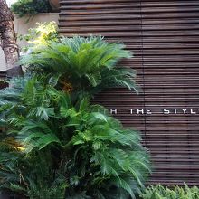 全体がヤシの木に覆われて、都会の喧騒から抜け出せます