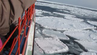 流氷見れました