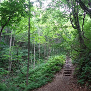 けっこう登りがきついです。