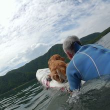 ウィンドサーフィンをしに行ったのですが、風がありませんでした