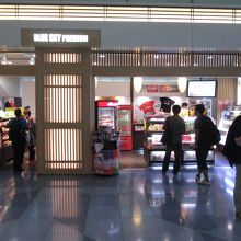 BLUE SKY PREMIUM (国際線)