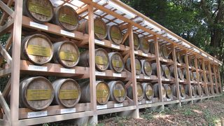 葡萄酒奉納・・・国際的です