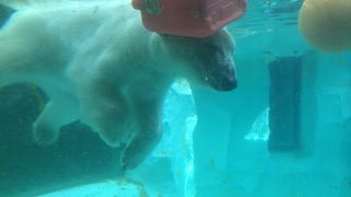 グットプライス動物園