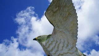 サシバから見下ろす絶景！