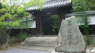 青紅葉も美しい