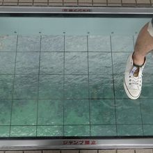 高所恐怖症には無理！