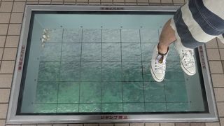 ガラスの床がめっちゃこわーい