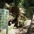 がんばった人には絶景のご褒美があります