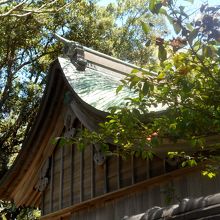 左手からの羽豆神社本殿の屋根の眺め。