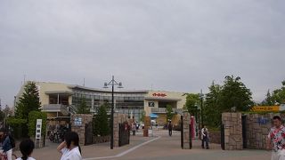 野球観戦前の時間つぶしに最適。試合後の食事もＯＫ