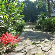 寺院と教会の見える道を登りきったところにある