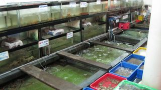 新鮮なシーフード！うまかった～。好きな魚介類をチョイスして量り売り。次回も絶対に行きます。