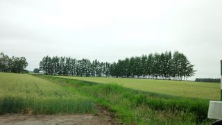 北海道らしい広大な大地の中に突如ある空港