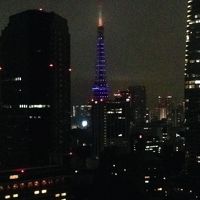 東京タワーもキレイ