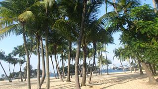 きれいな砂浜ですが船が見えるのに違和感