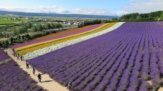 さすが北海道を代表するスポット