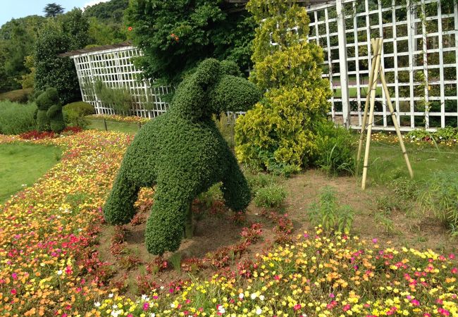 清水公園花ファンタジア クチコミ アクセス 営業時間 野田 関宿 フォートラベル