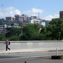 「高見橋」上からの「城山」