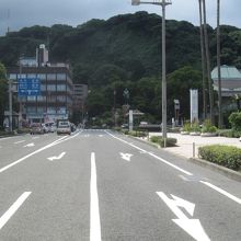 「西郷隆盛像」後ろの「城山」