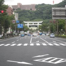 「照国神社」後ろの「城山」