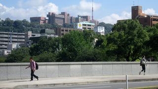 鹿児島歩きの中心