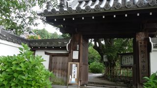 緑に囲まれたお寺