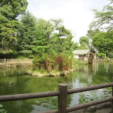 公園内５