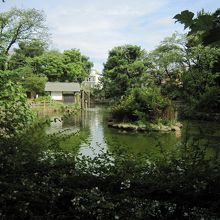公園内６