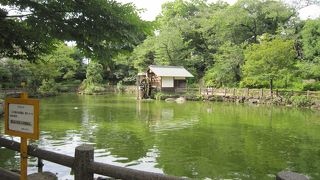 池は自然湧水で水車小屋がありました