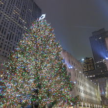 特大ツリー
