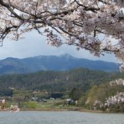桜と愛宕山。