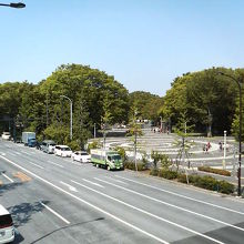 森の中、奥深くへと広がる公園です。