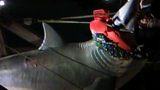 クリスマスに行きました！