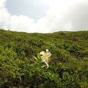 山の上に、だだっぴろい真っ白な砂漠？池？の景色がめくるめく不思議な山