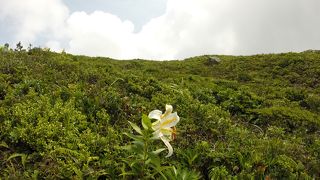 山の上に、だだっぴろい真っ白な砂漠？池？の景色がめくるめく不思議な山