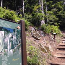 トレイルヘッド。この階段からトレイルが始まります。