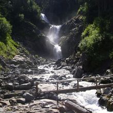 ここがコメット滝かと思ったら違った。丸太橋はスリルあり。