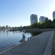 入り江に面した気持ちの良い公園。