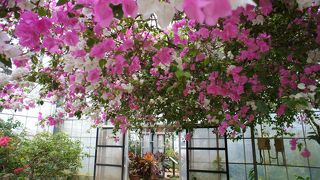 雨の日にオススメ！