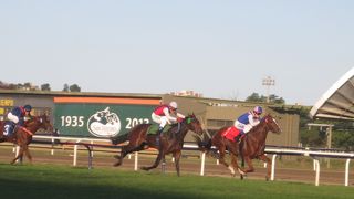 ブエノスアイレス郊外の落ち着いた競馬場