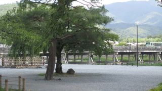 あ～嵐山と思うシンボルです。