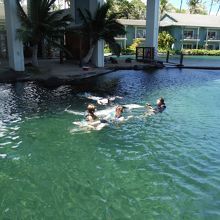 イルカちゃんと