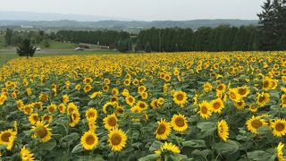 プラネタリウム