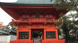 市街地に鎮座している神社で、蟲封じのほか、商売繁盛や出世、開運に利益があるとされています