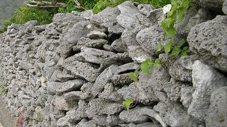 サンゴの石垣が美しい集落