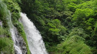 白滝のマイナスイオン