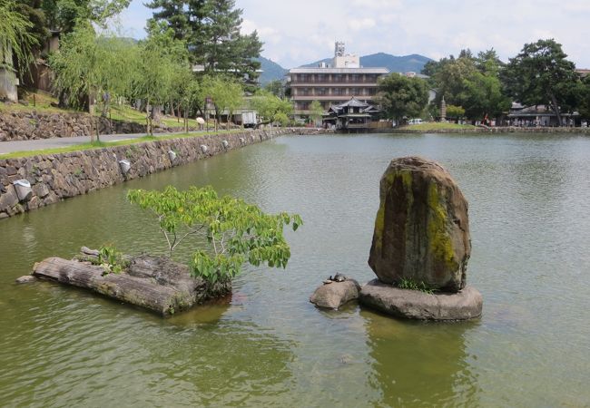 猿沢池のほとりにある何とも風情のある茶店。